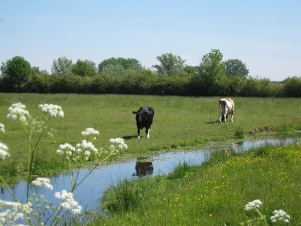 eXpoChallenge 76 - Frank - Leading Lines