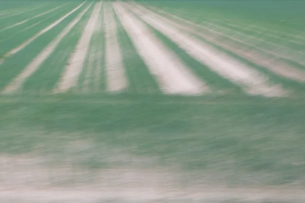 eXpoChallenge 45 - Frank - Two Colors