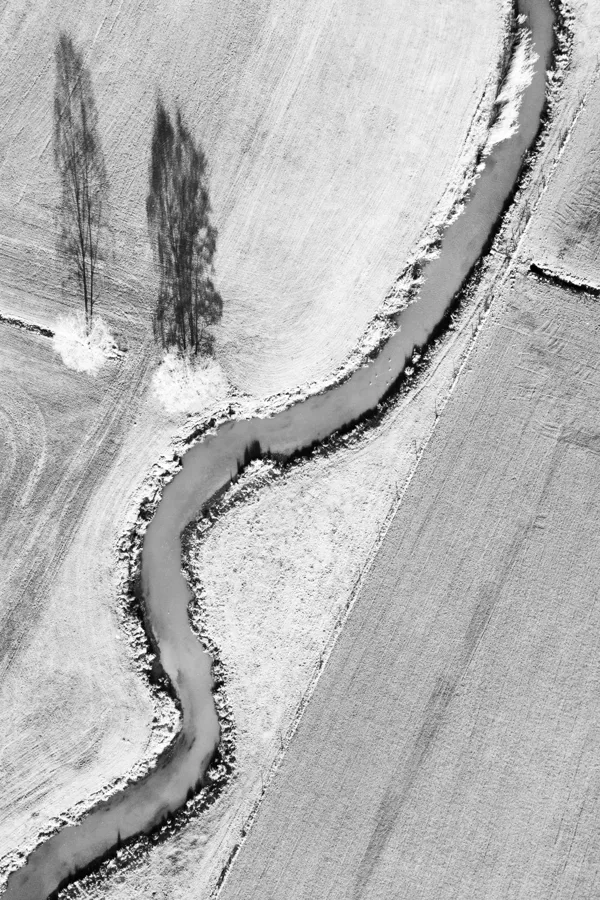 eXpoChallenge 01 - Frank - Liggende Boom