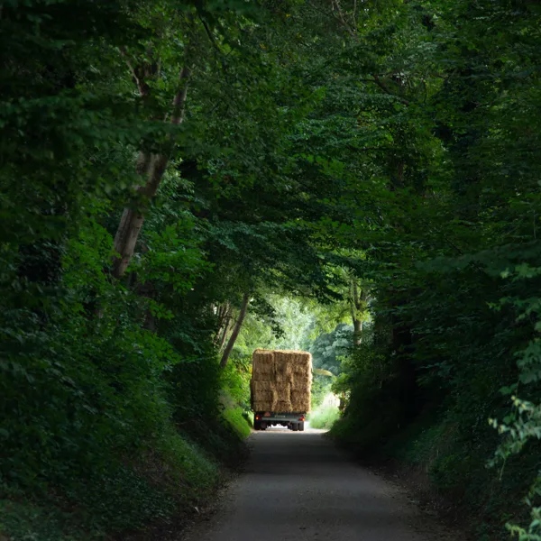 eXpoChallenge 82 - Frank - Goods Transport