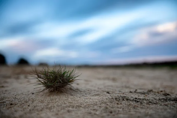 eXpoChallenge 59 - Frank - Negative space