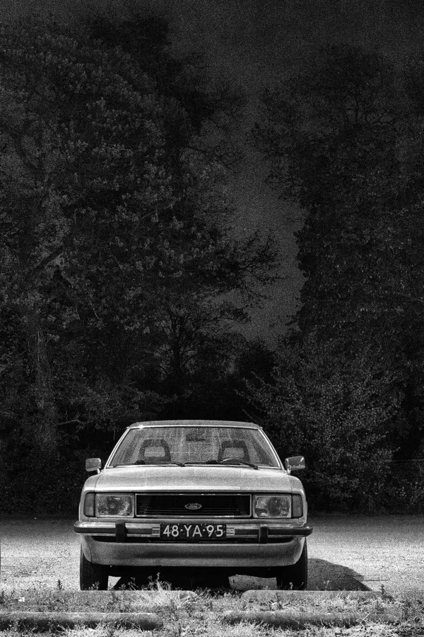 eXpoChallenge 10 - Frank - Photographic Noise