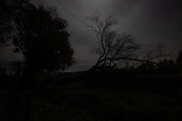 eXpoChallenge 88 - Frank - Dark