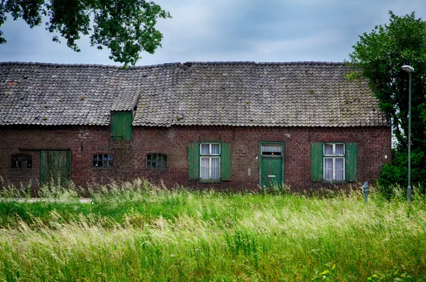 eXpoChallenge 13 - Frank - Urban Decay