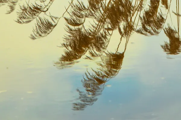 2026-02-11 reflectie Ria H III