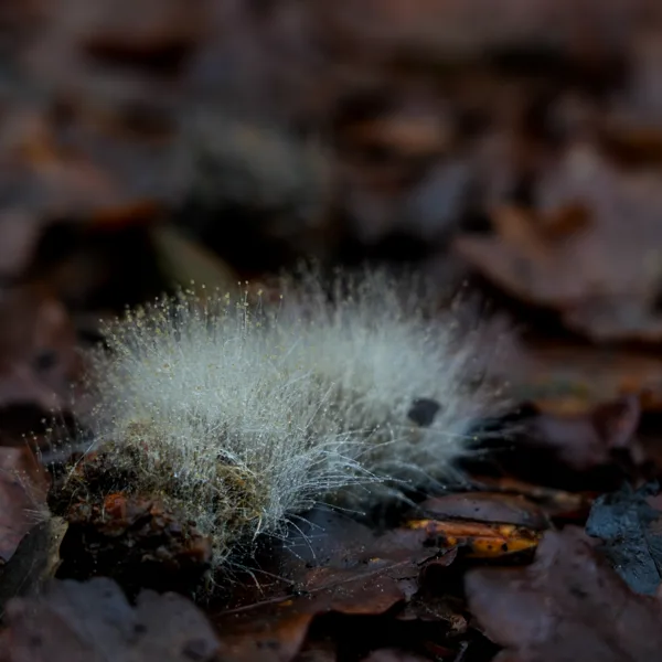 wandelen (22 van 24)
