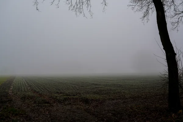 wandelen (18 van 24)