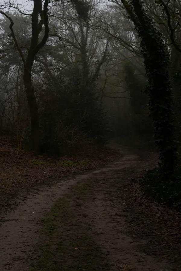 wandelen (19 van 24)