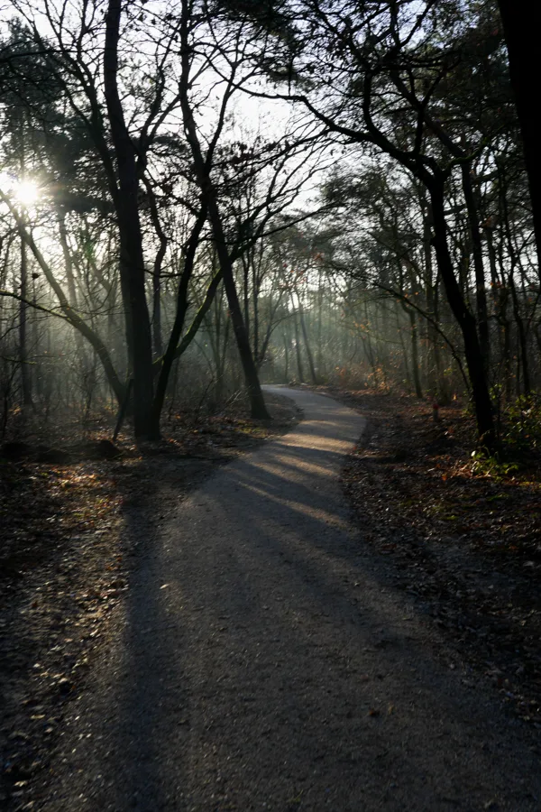 wandelen (6 van 24)