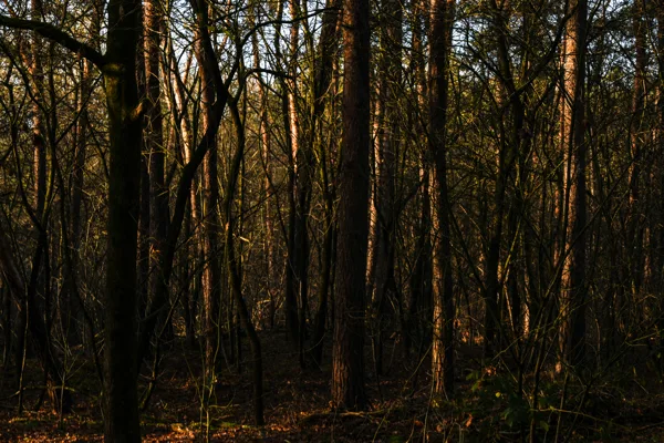 wandelen (3 van 24)