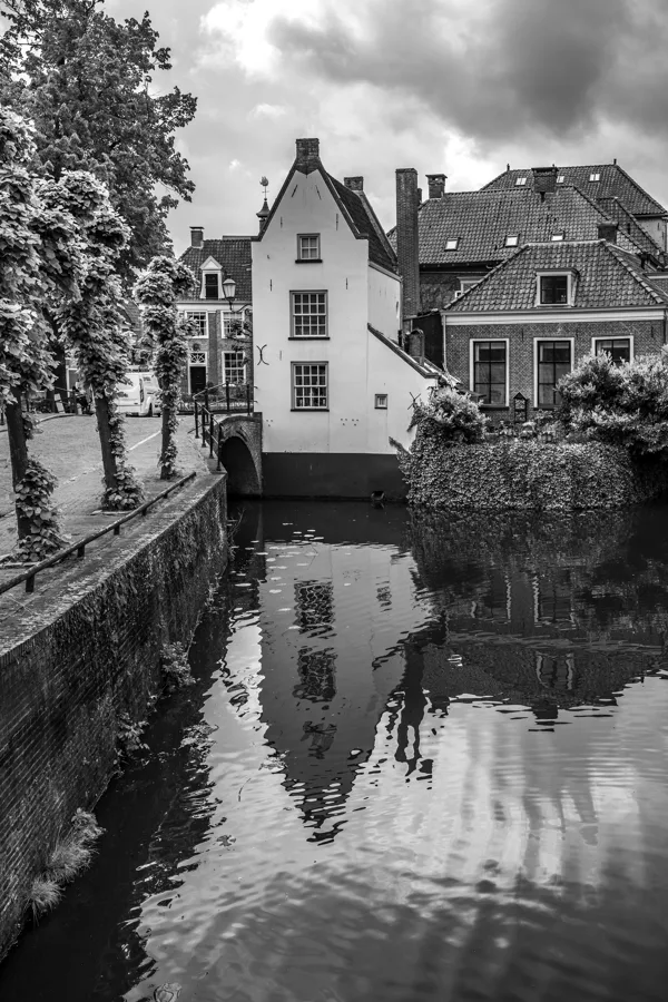 IMG_4245