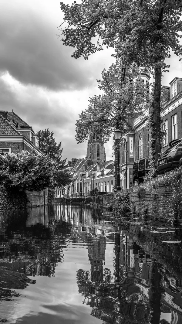 IMG_4244