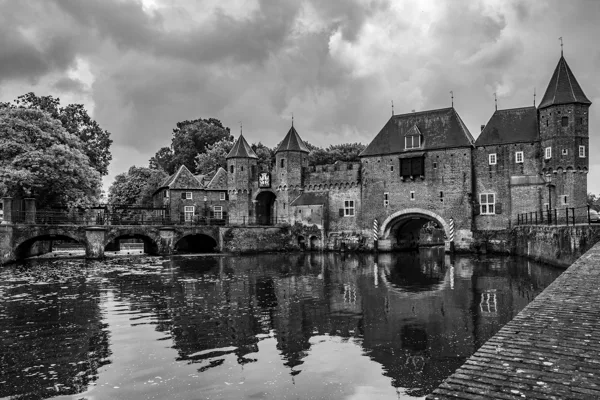 IMG_4246