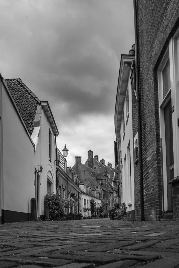 IMG_4250