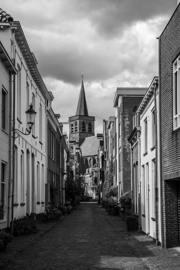 IMG_4247