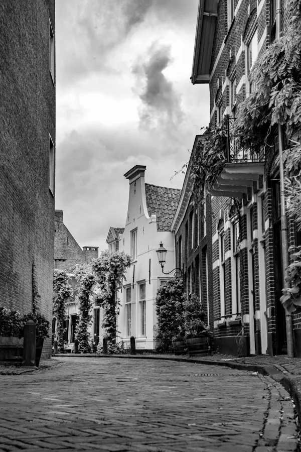 IMG_4248