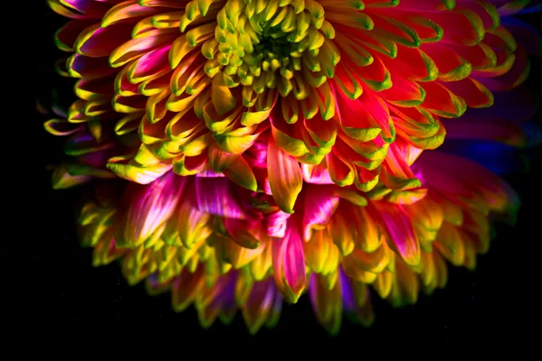 _7506630