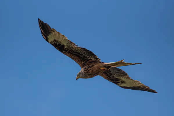 17-6 iets in de lucht sjef 2