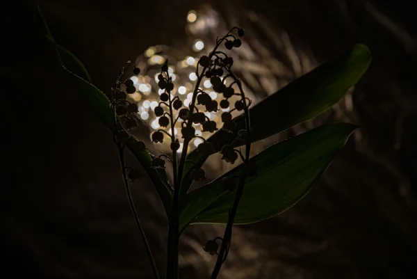 _7506728-2