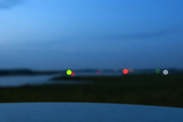 MartWismansKwartaalfoto-3
