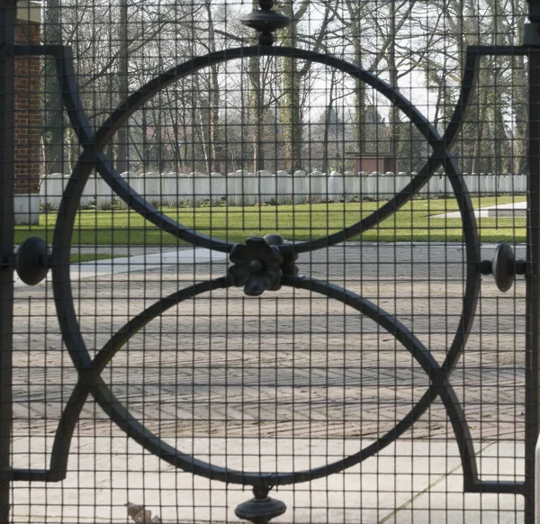 portfolio-voor-scherm-72-d-i-76