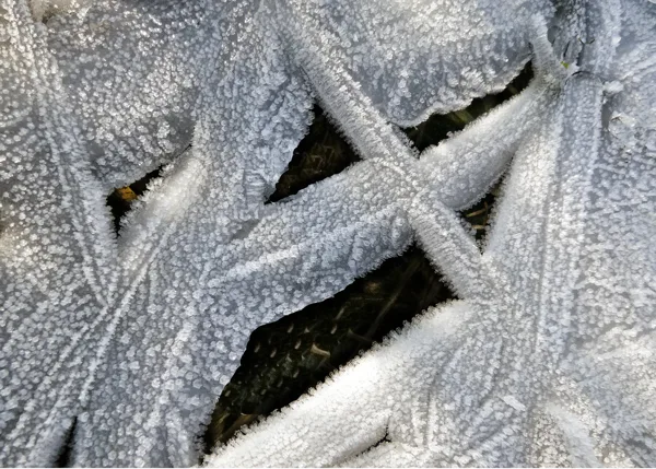 lettersneeuw-8