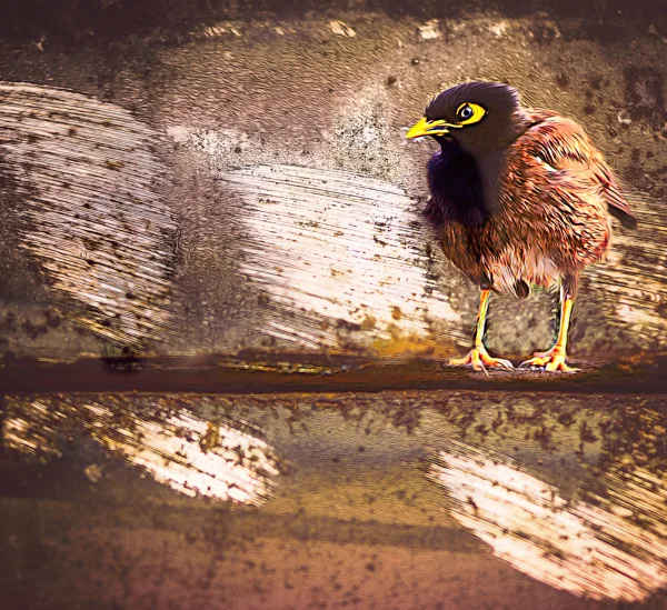 Vogeltje-