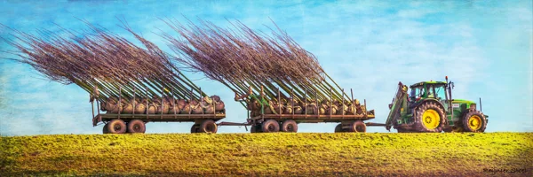 Bomen=- Tractor