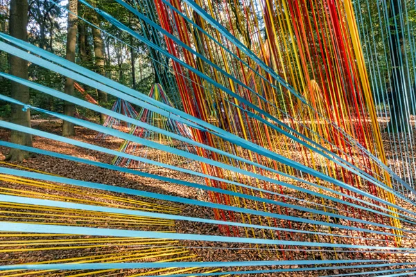  Kunst in  bos slierten-4964