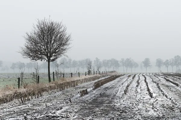 portfolio-voor-scherm-72-d-i-21