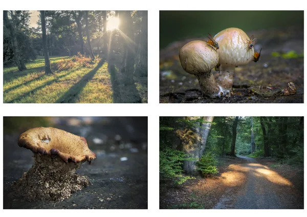 Herfst 2018