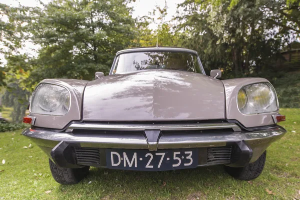 DS