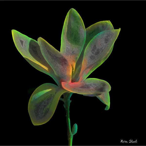 Arboretum bloem vogel voor Rein jr-gigapixel-scale-4_00x