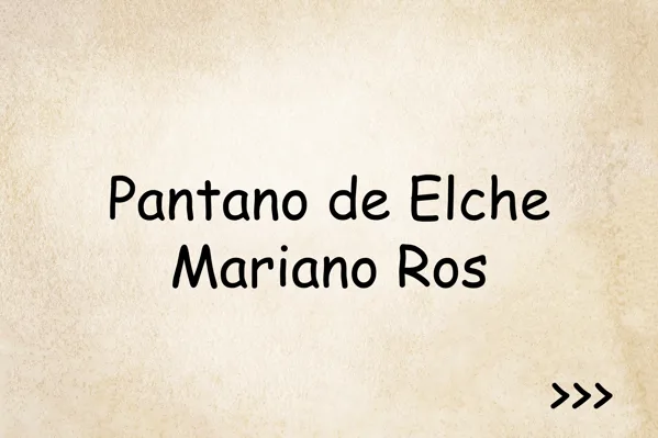 Pantano de Elche - Mariano Ros