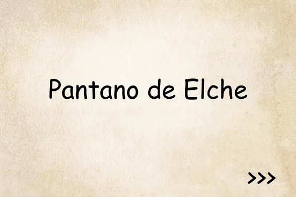 Pantano de Elche