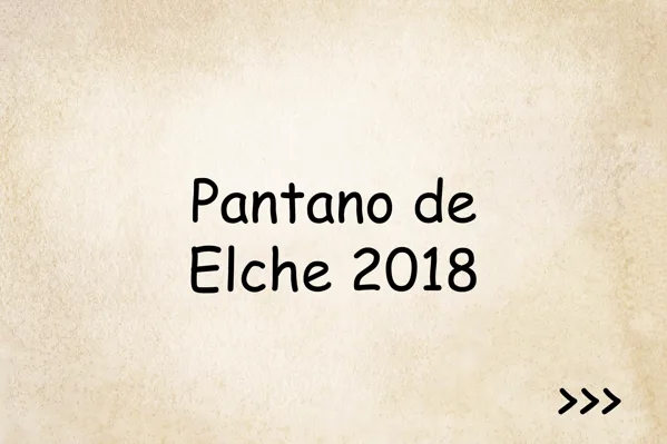 Pantano de Elche 2018