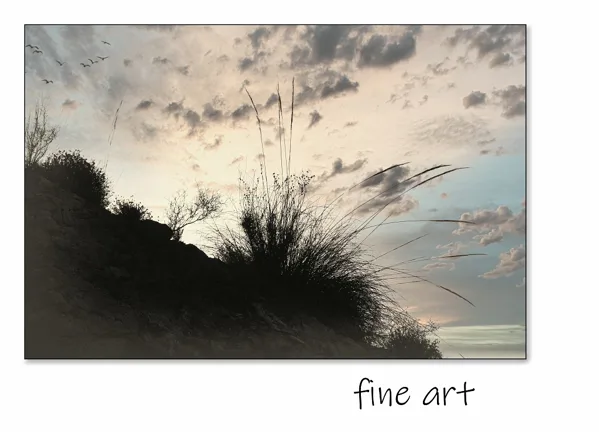 sized_fine art