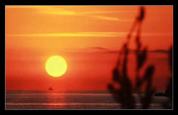 sized_zon