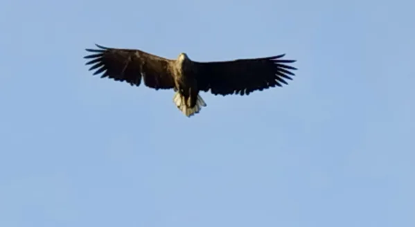 Noorwegen