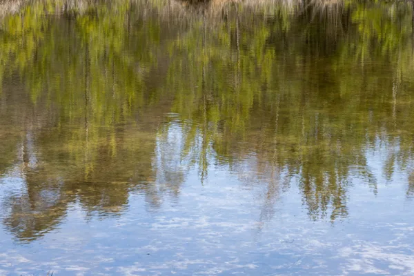 Natuur