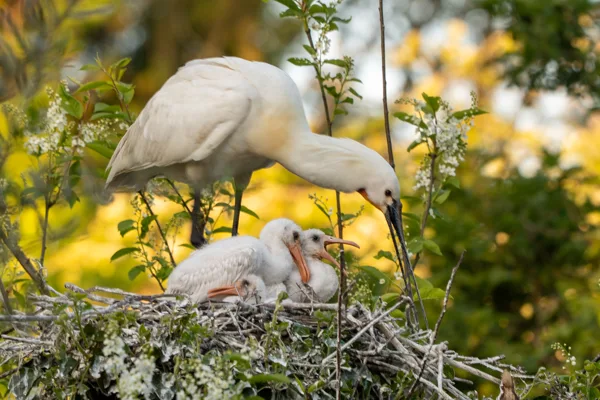 Fotogalerij - Foto van de Maand