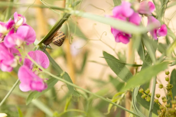 Help, ik wil naar beneden