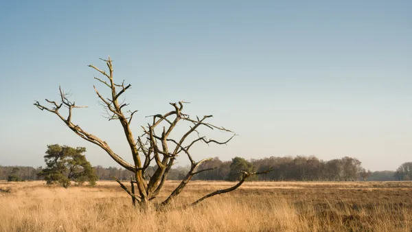 Landschapsfotografie