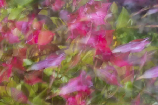 ICM