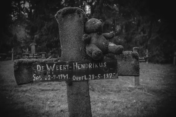 Cemetery  of the insane