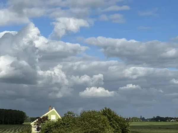 76A1536A-1924-4D37-9031-BA9101BC878F_1_105_c