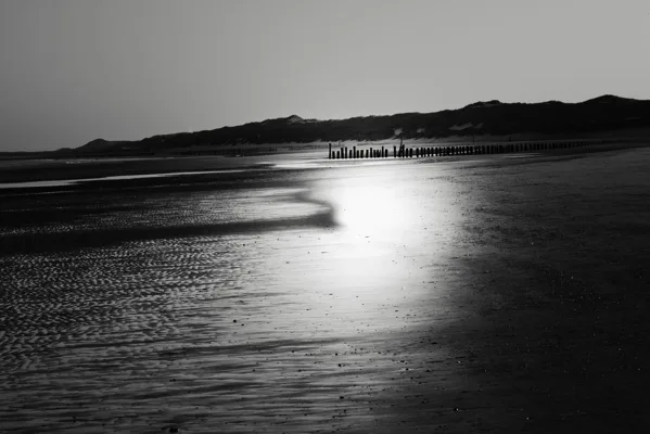 Fotogalerij - Strand en sommige bewoners