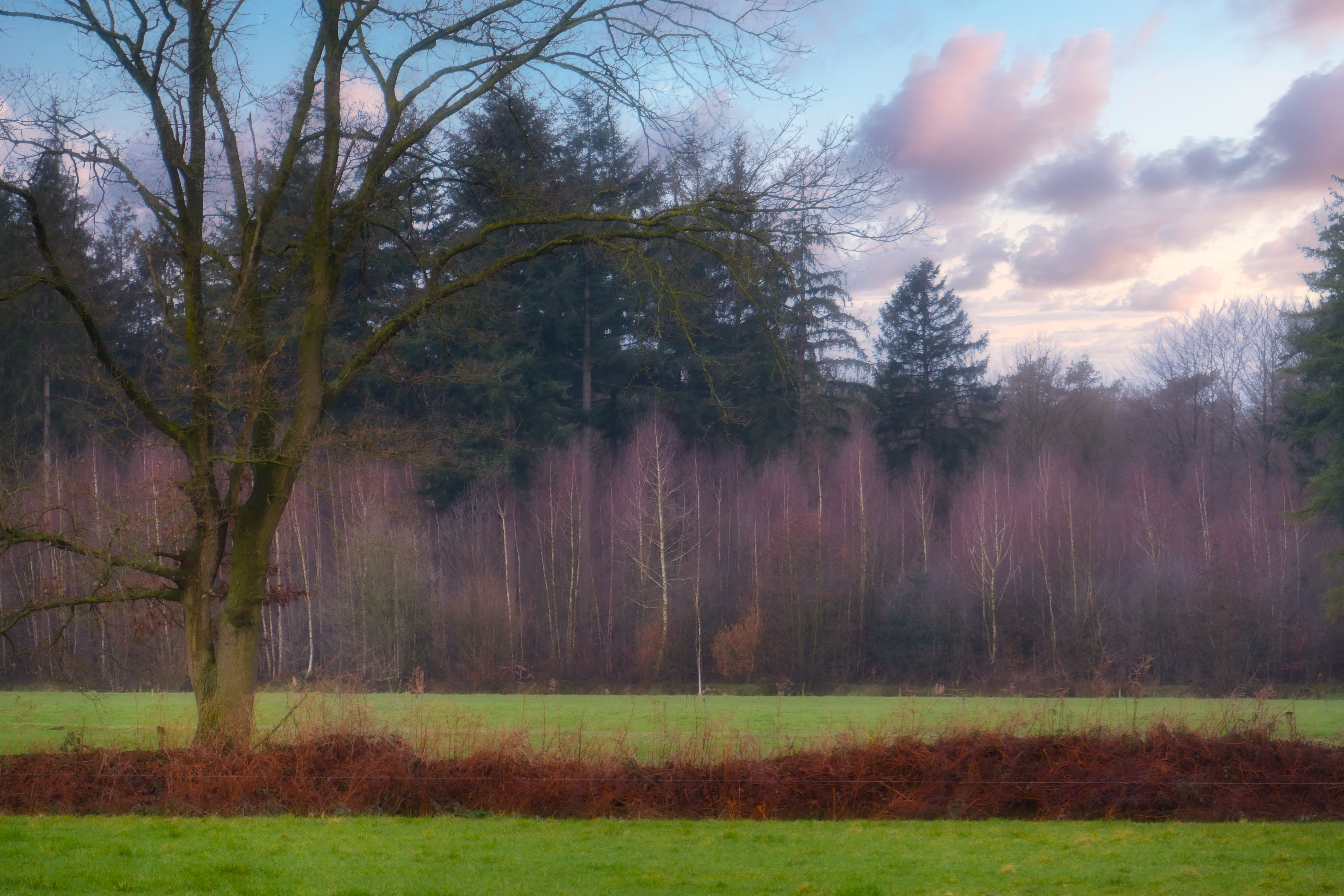 Blog Achterveld 1