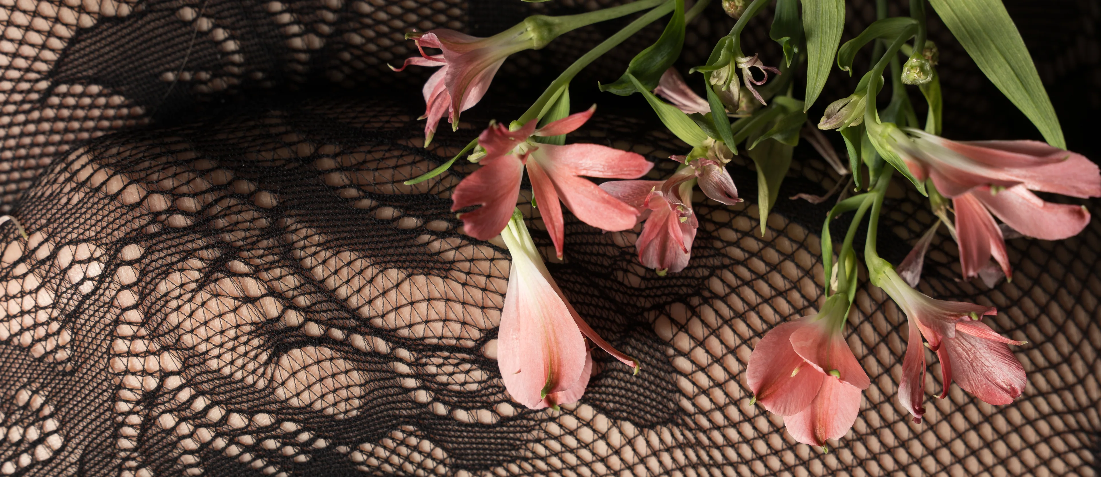 20250528-{@-JohanWijchen}-DSC02892