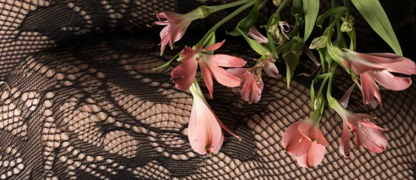 20250528-{@-JohanWijchen}-DSC02892